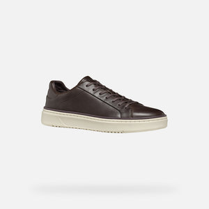 GEOX - ZACKERTY Leather Low Top Trainers in Coffee U46HPA000CLC6009