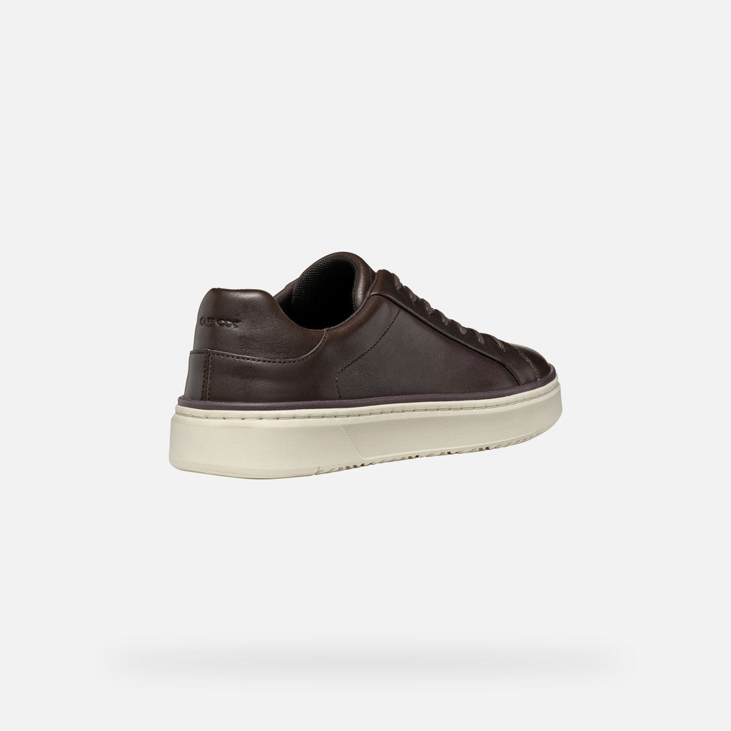 GEOX - ZACKERTY Leather Low Top Trainers in Coffee U46HPA000CLC6009